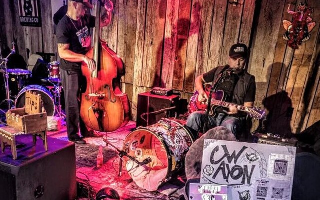CW Ayon - Mississippi Hill country blues
