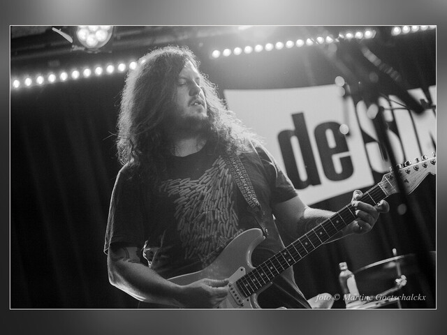 Meat Puppets - Reünie in originele bezetting