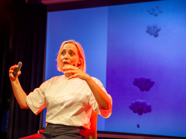 Sofie Lemaire - Sofie verzint het niet ?