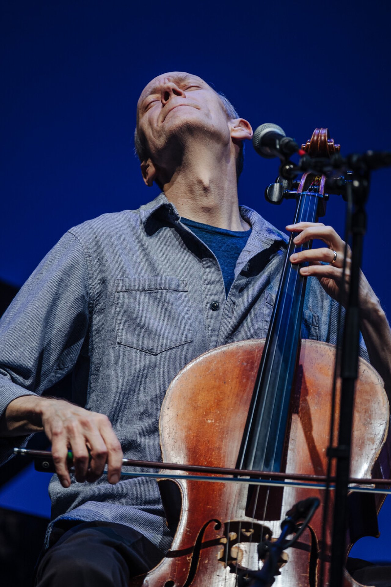 meestercellist