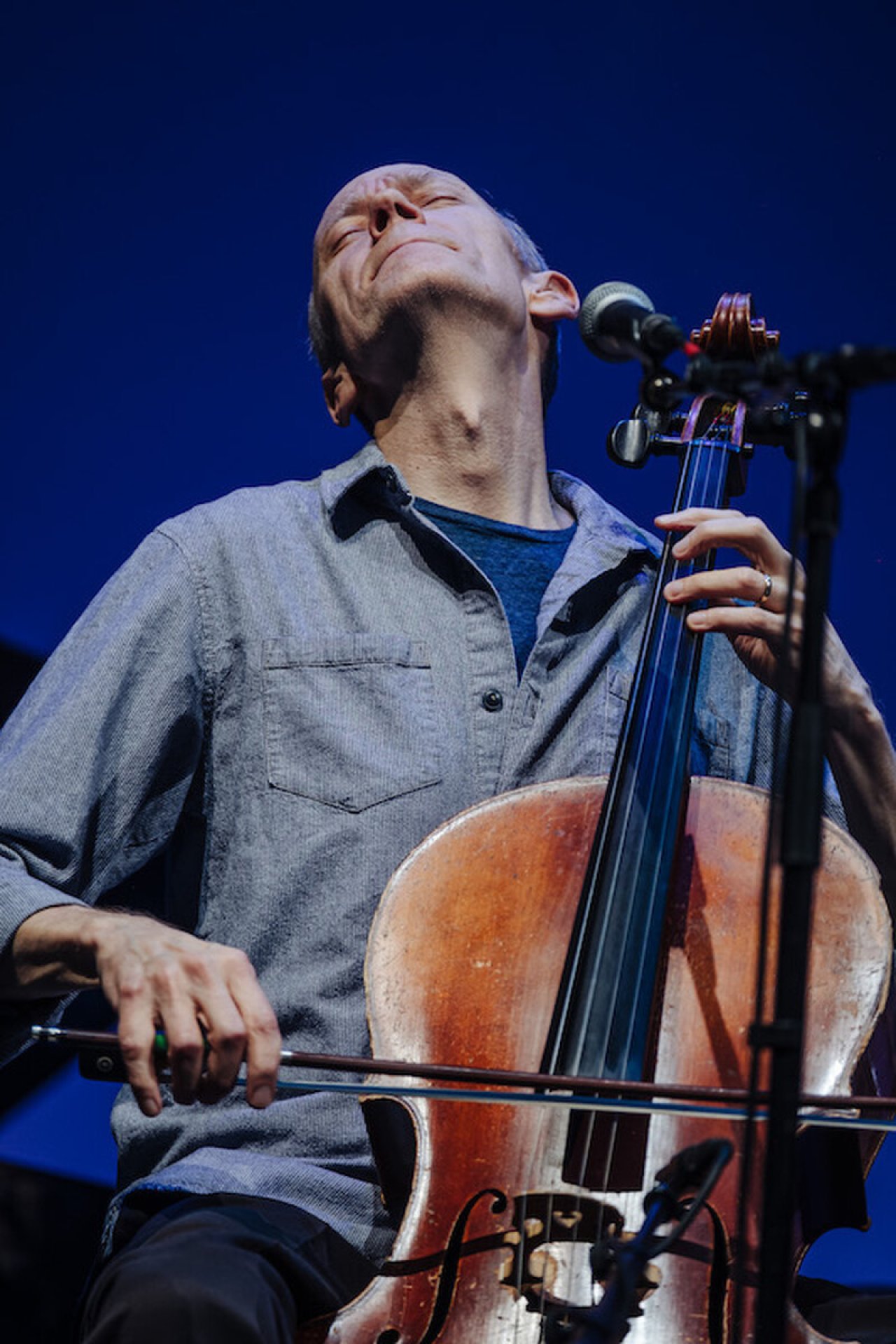 Foto 1 van 1, meestercellist