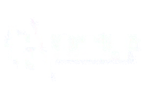 Vlaamse Gemeenschap