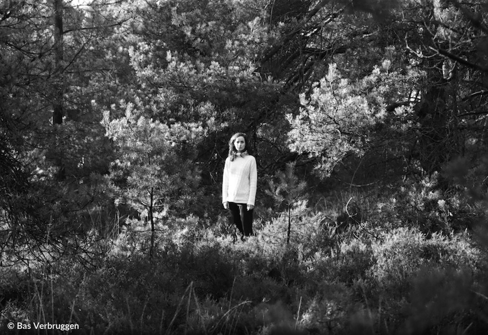 Dear Darkening Ground (try-out)